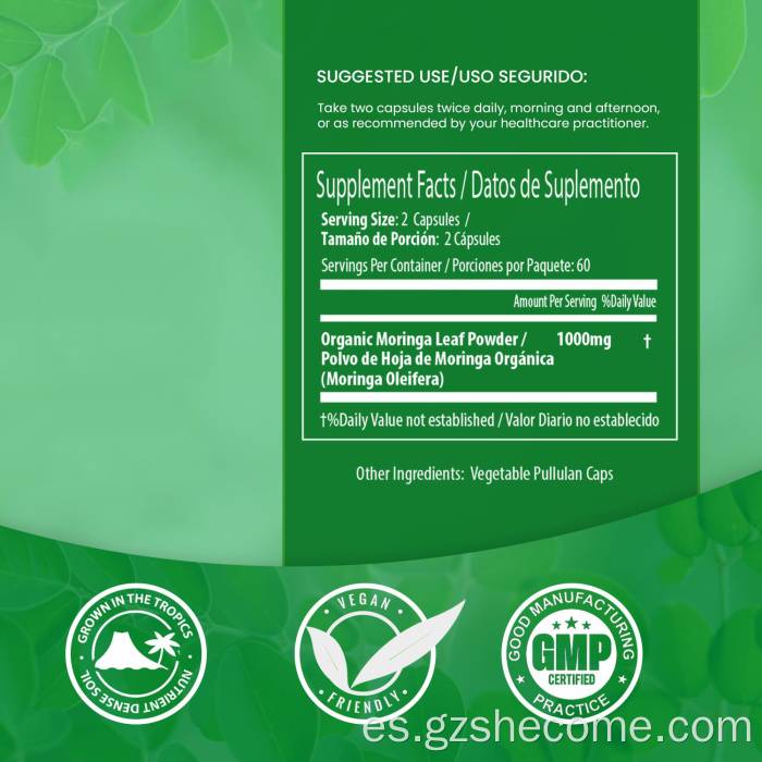 Moringa Oleifera Cápsulas de hoja de Moringa sin gluten